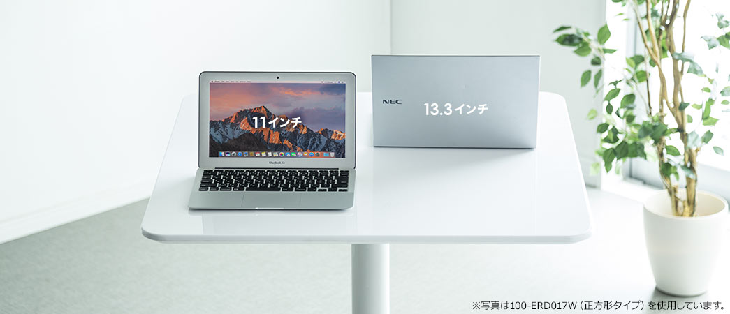 100-ERD017Wの画像
