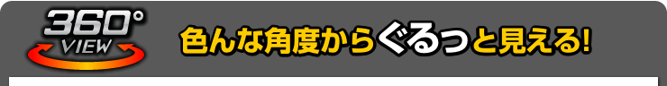 色んな角度からぐるっと見える