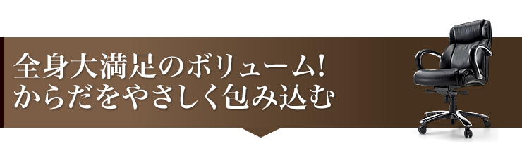 全身大満足のボリューム!からだをやさしく包み込む