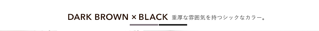 重厚な雰囲気を持つシックなカラー